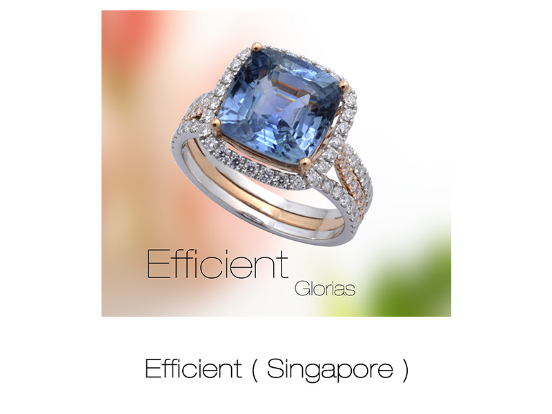 Efficient Jewellery Industry Pte Ltd