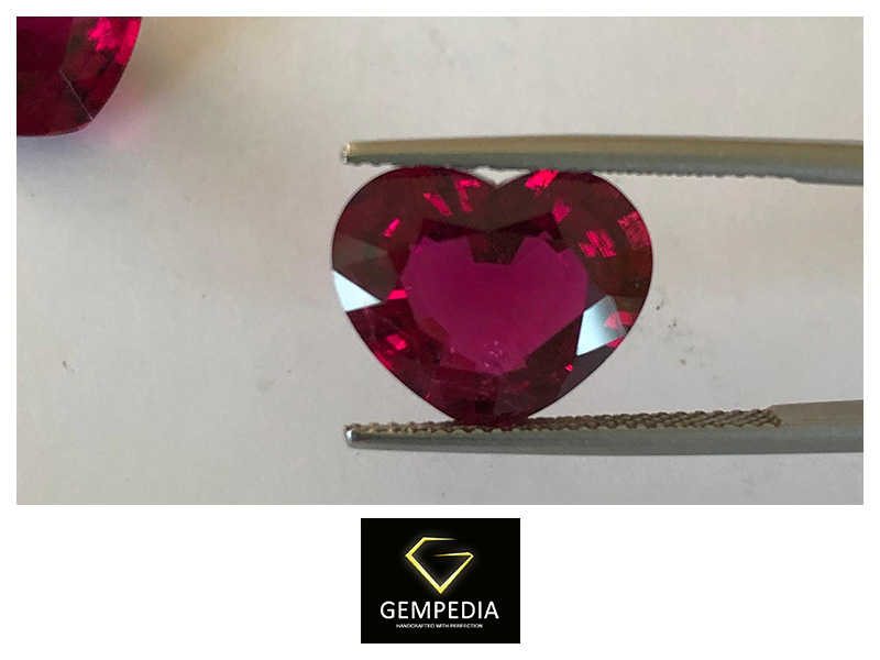 GEMPEDIA